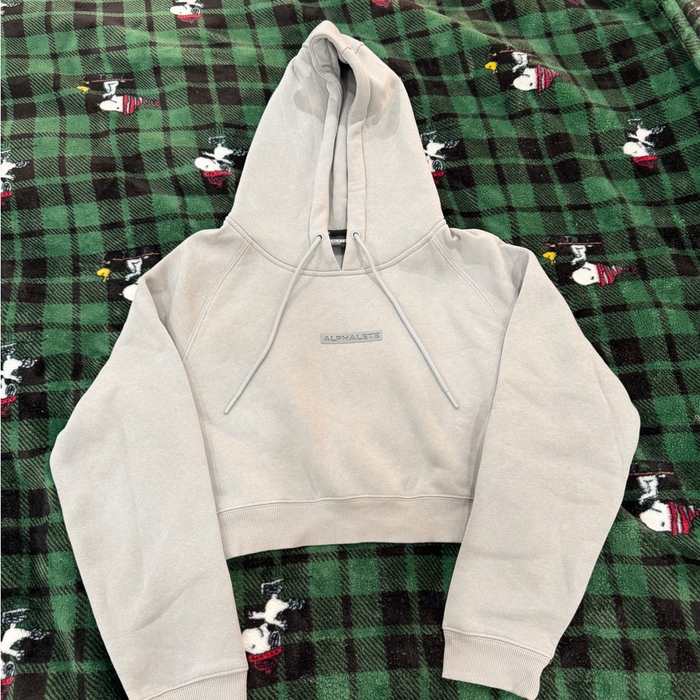 Alphalete Union Cropped Hoodie